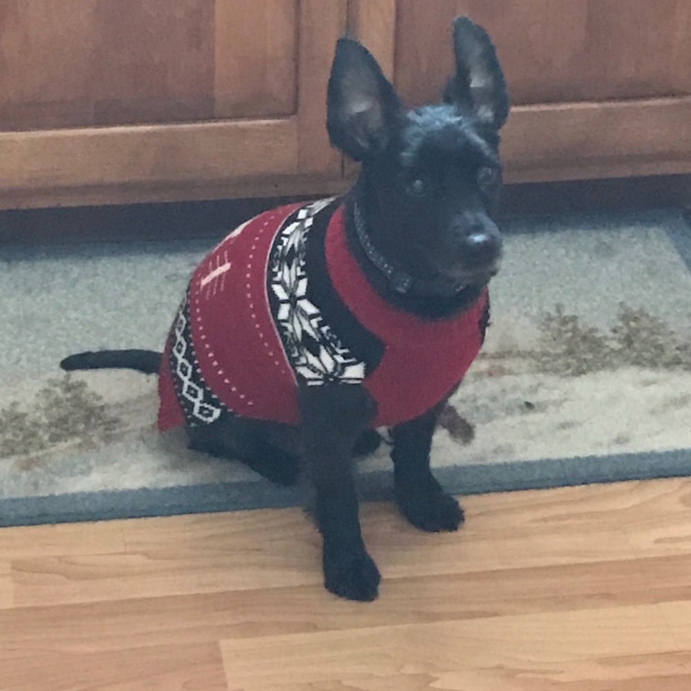 Meet your Posher, Suzanne